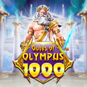 vm88 Cổng Olympus 1000